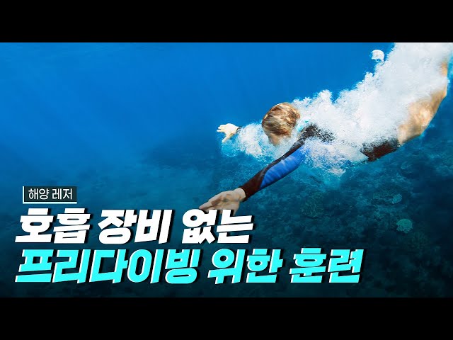 [핫클립] 프리다이빙을 위한 다이빙 훈련