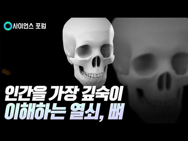 [사이언스포럼] 재밌는 뼈, 이상한 뼈, 오래된 뼈