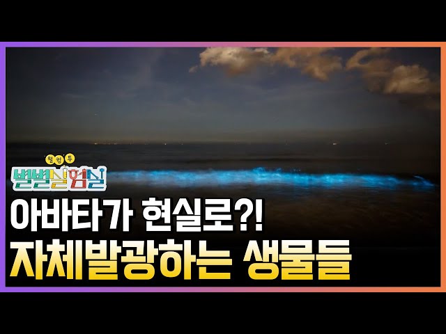 아름답고 신비한 자체발광하는 동물과 식물✨