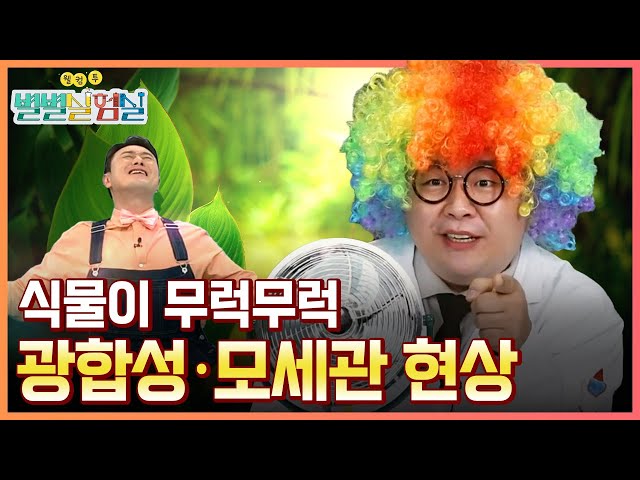 [별별실험실] 광합성을 활용한 특별한 사진 인화하기