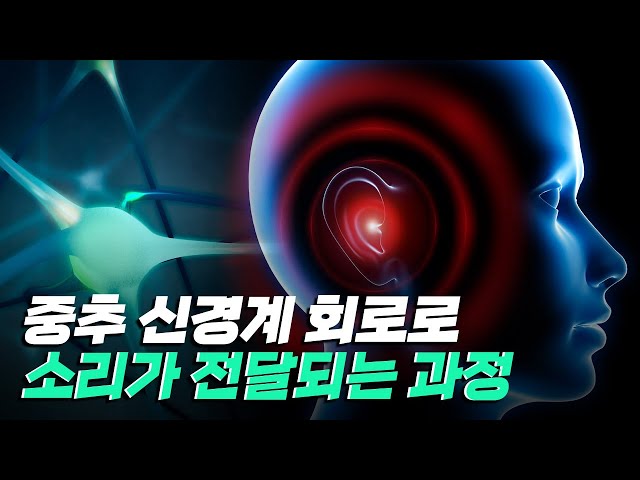 [핫클립] 난청과 인지기능의 연관성