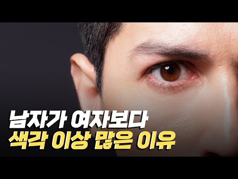 [핫클립] 남자가 여자보다 색각 이상이 더 많이 일어나는 이유