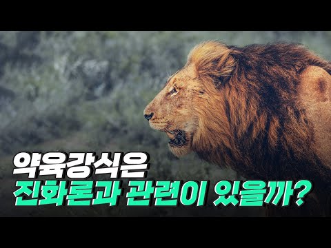 [핫클립] 야생의 초원에서 가장 강한 동물은 사자일까?