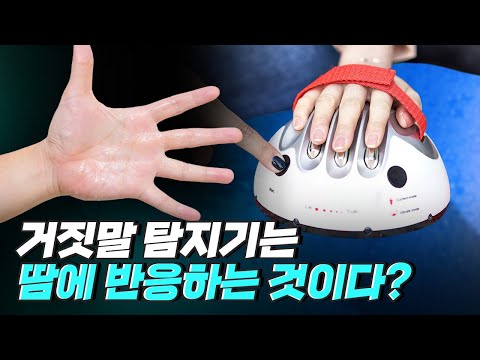 [핫클립] 거짓말 탐지기는 어떤 원리일까?