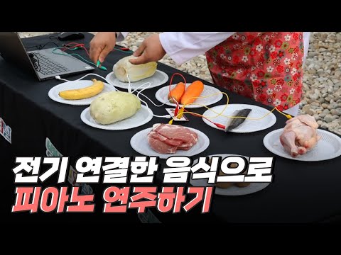 [핫클립] 전류가 통하는 음식들로 푸드피아노 만들기