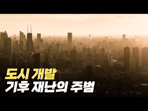 [핫클립] 도시화될수록 일어나기 쉬운 기후 재난