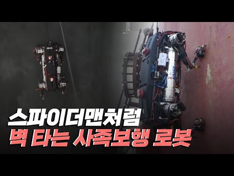 [핫클립] 벽을 타고 올라갈 수 있는 사족보행 로봇