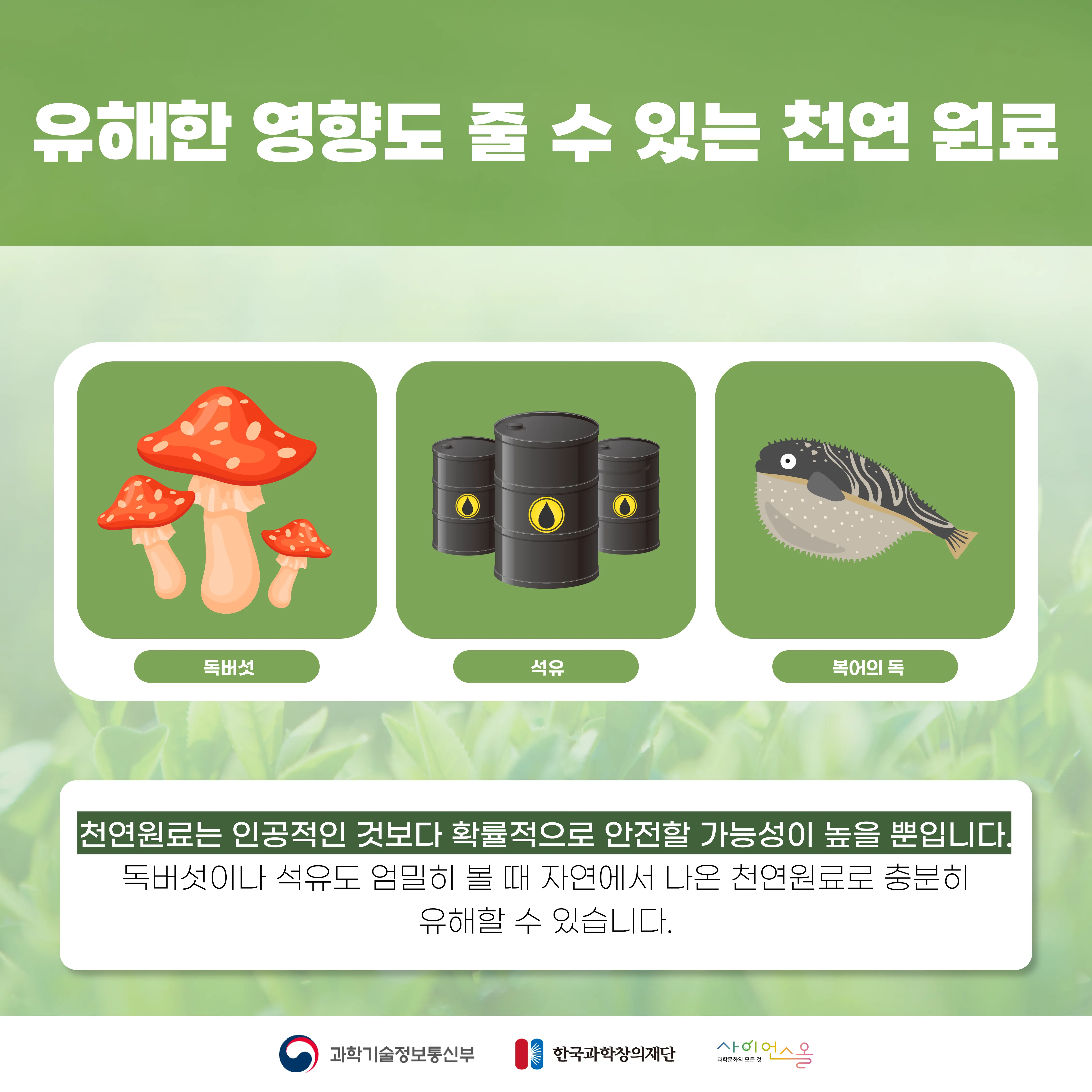 [달콤쌉싸름 과학] 천연에 대한 진실