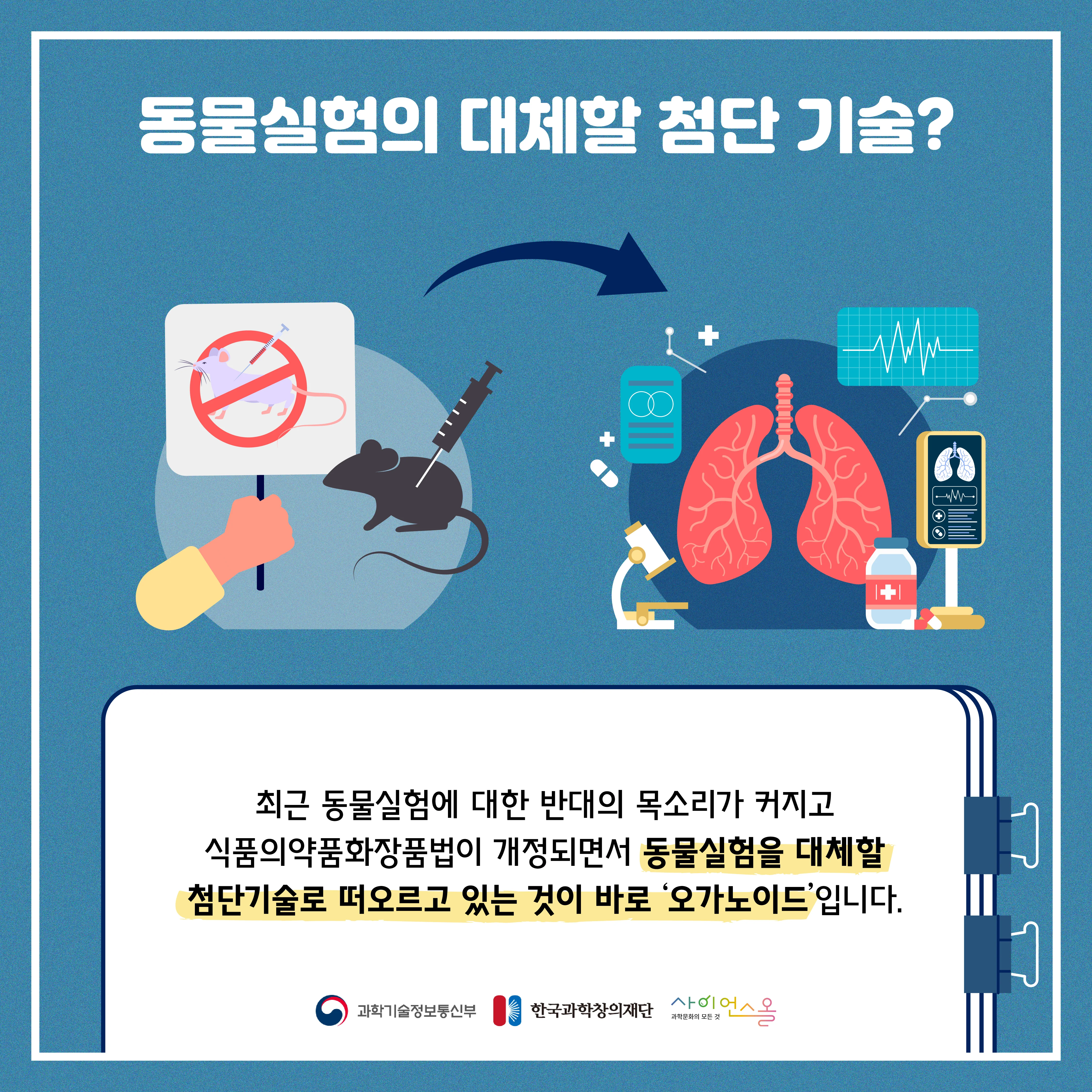 [숨사이언스] 동물실험을 대체할 첨단 기술의 등장, 오가노이드