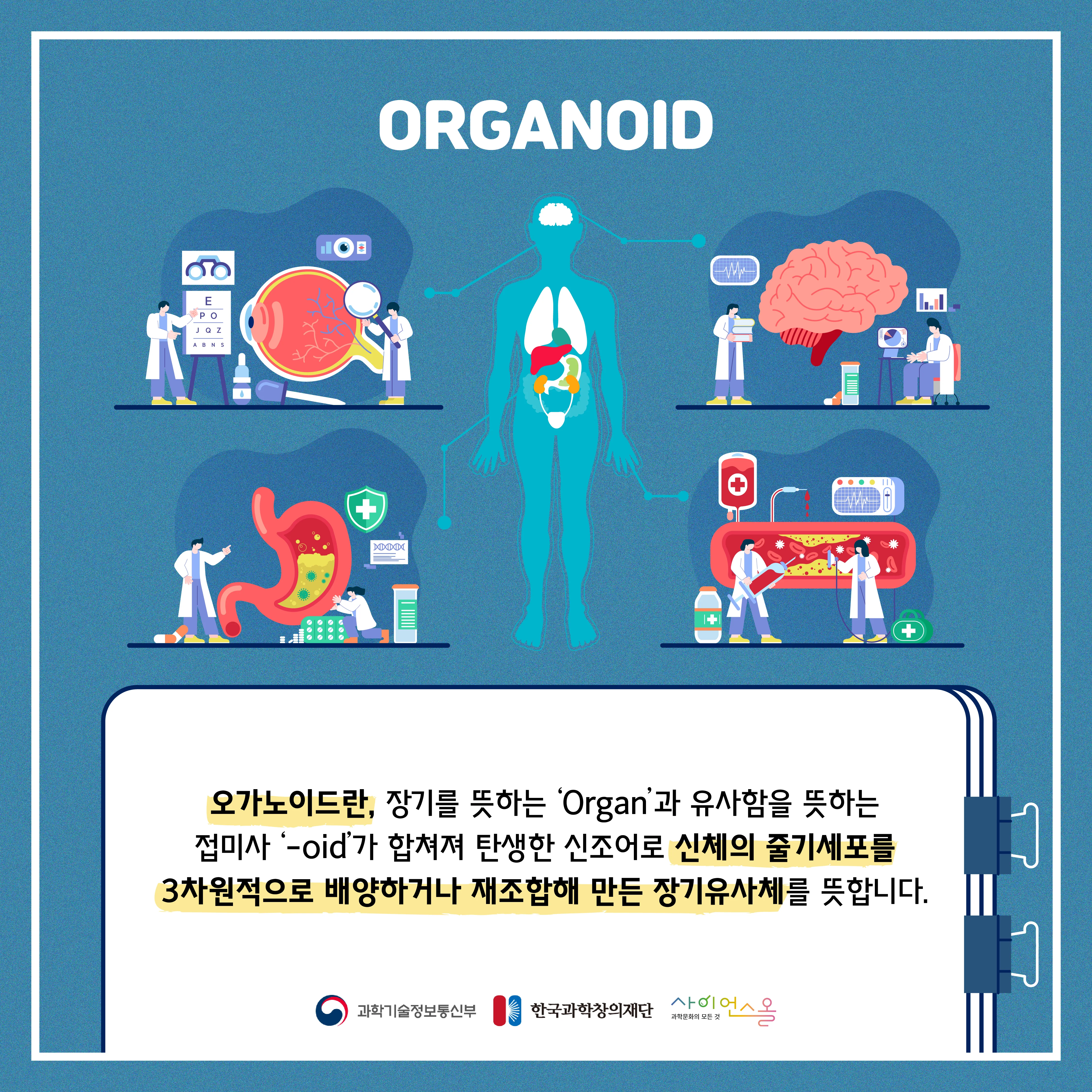 [숨사이언스] 동물실험을 대체할 첨단 기술의 등장, 오가노이드