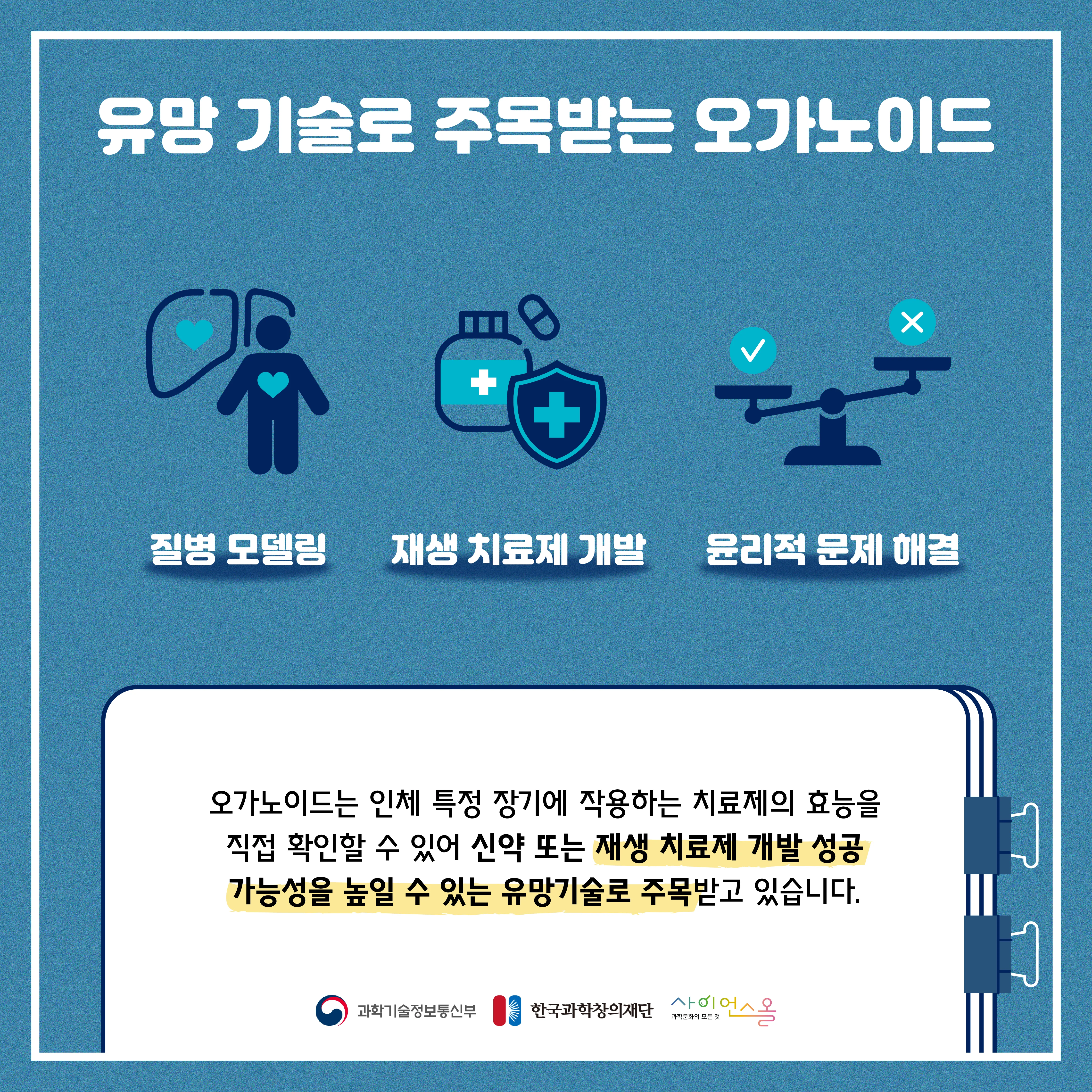 [숨사이언스] 동물실험을 대체할 첨단 기술의 등장, 오가노이드