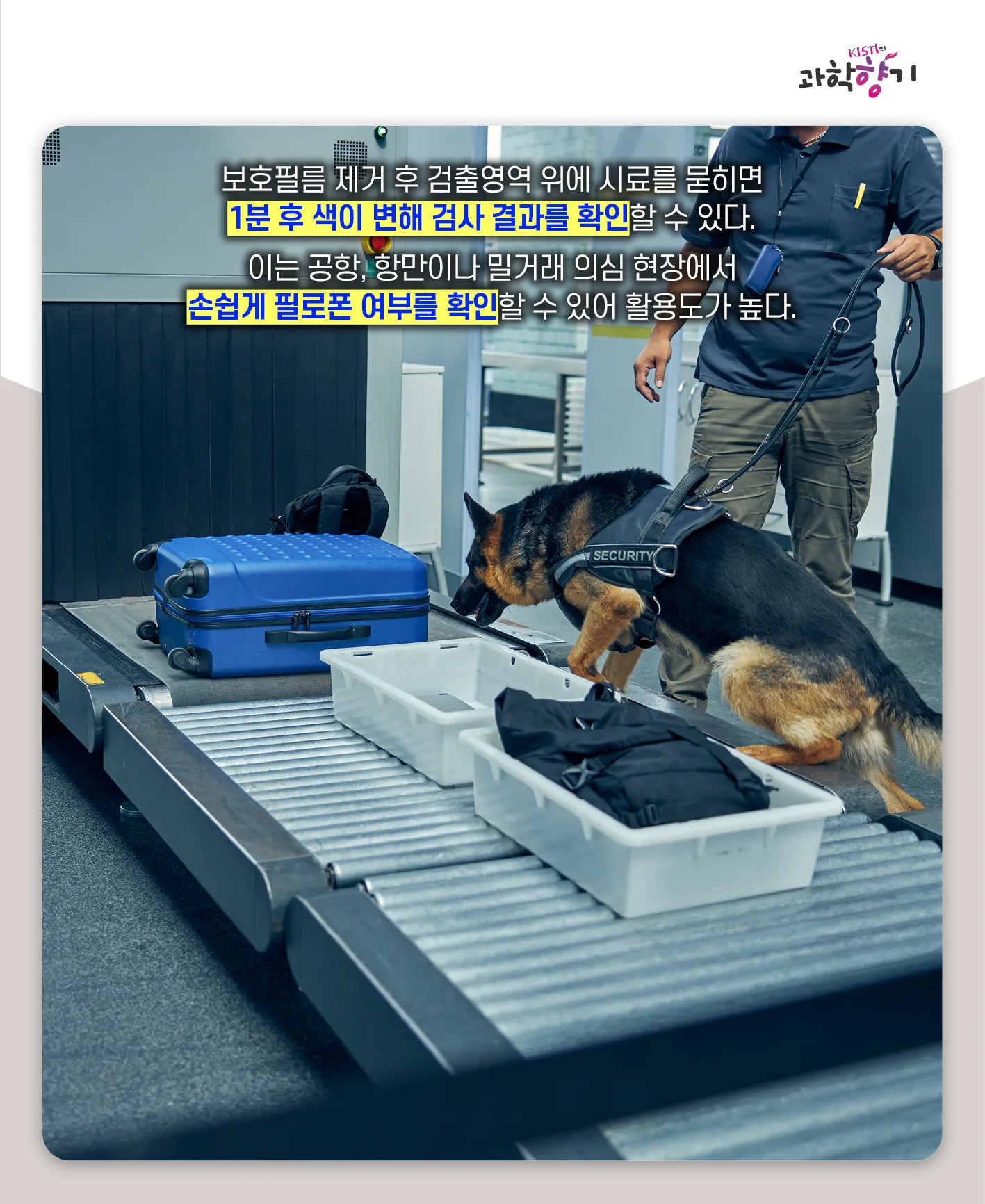 [과학향기 카드뉴스] 스리슬쩍 대한민국 물들이는 마약, 과학기술로 잡는다