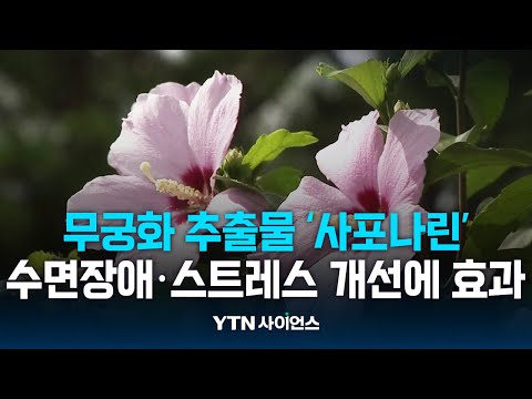 [과학뉴스] 무궁화 추출물에 스트레스·수면장애 개선 효능