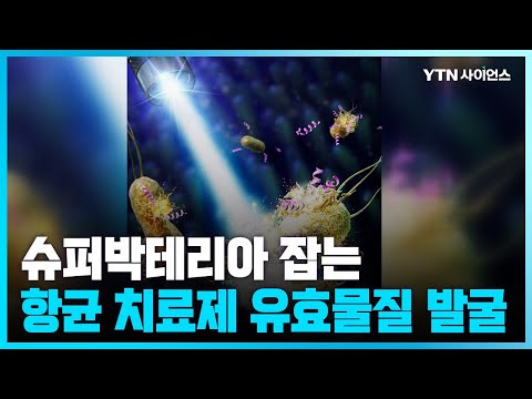 [과학뉴스] 슈퍼박테리아 잡는 항균 치료제 유효물질 발굴
