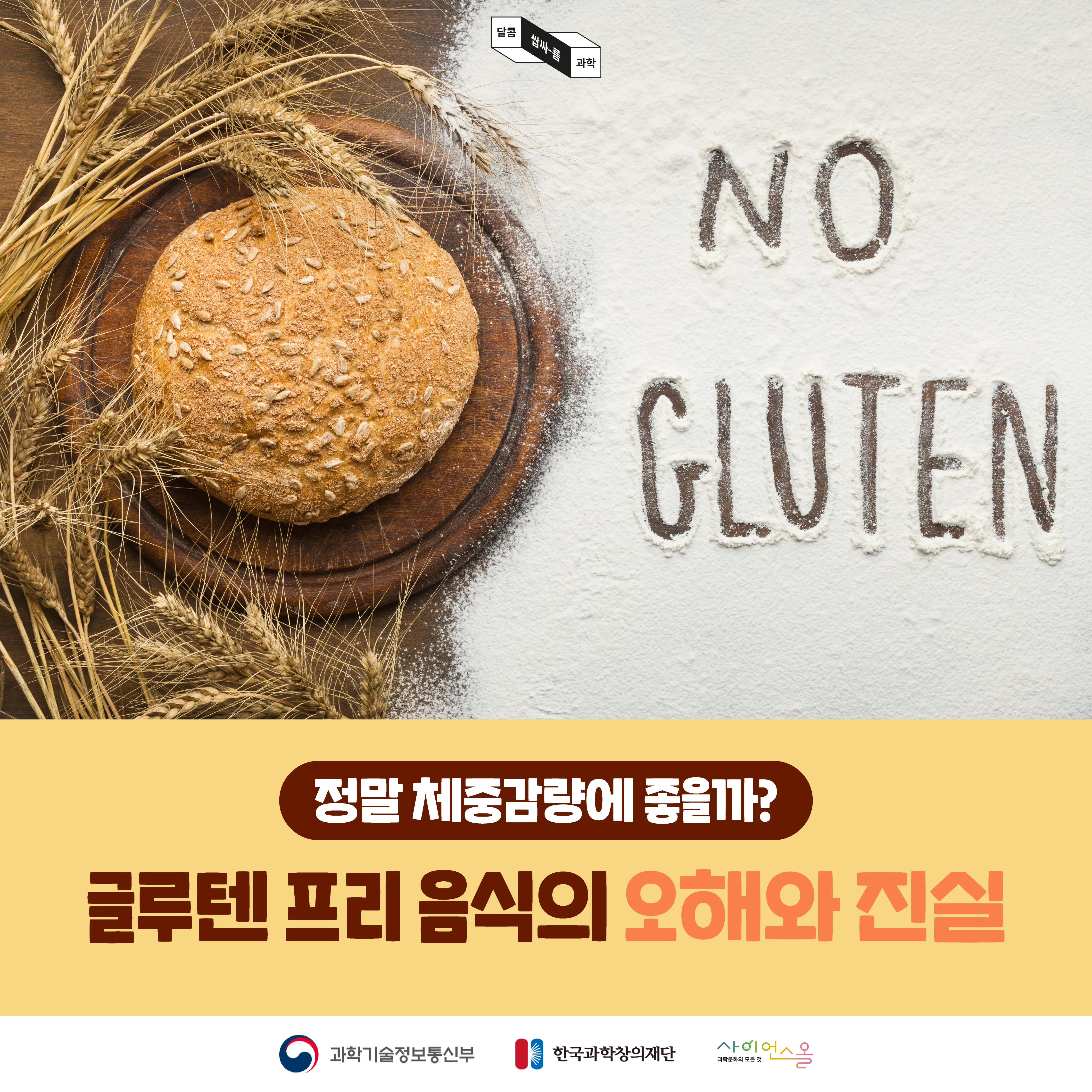 [달콤쌉싸름 과학] 정말 체중감량에 좋을까? 글루텐 프리 음식의 오해와 진실