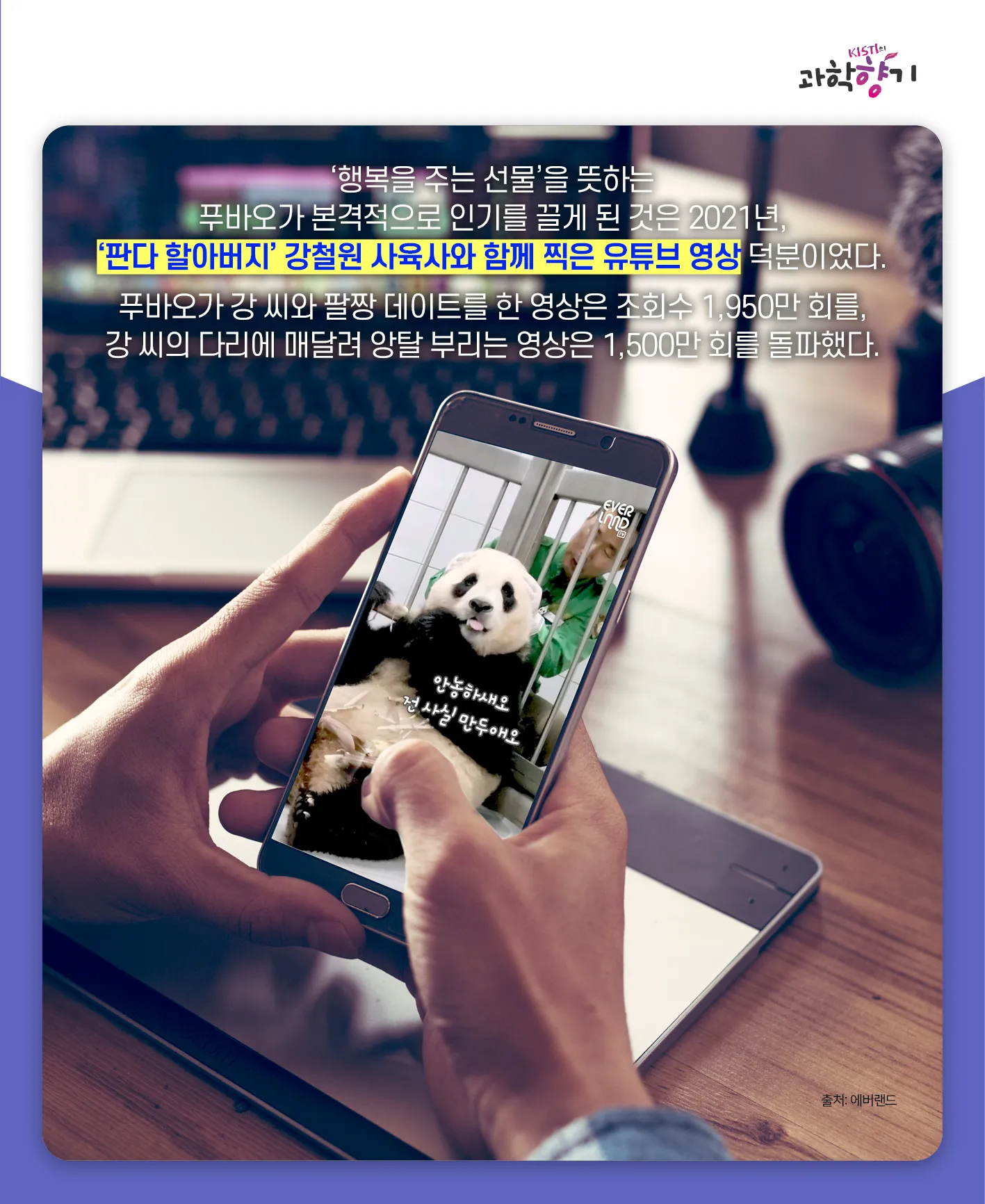 [과학향기 카드뉴스]100kg 판다가 100g 새끼 낳는다? 거대한 판다가 작은 새끼를 낳는 이유는?