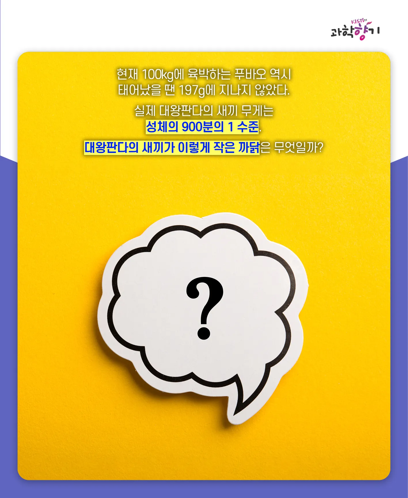 [과학향기 카드뉴스]100kg 판다가 100g 새끼 낳는다? 거대한 판다가 작은 새끼를 낳는 이유는?