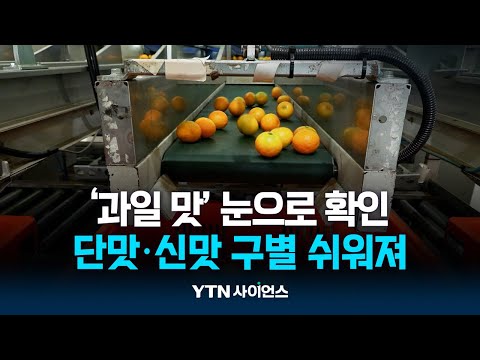 '과일 맛' 이젠 눈으로 확인하세요...단맛·신맛 구별 쉬워진다