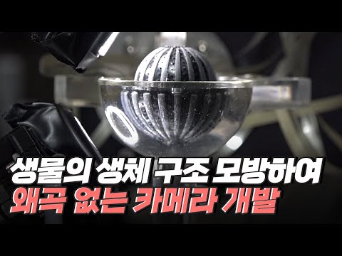 [핫클립] 농게를 모사해 왜곡 없이 360°로 촬영하는 카메라
