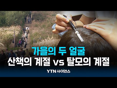 산책의 계절 vs 탈모의 계절...가을의 두 얼굴