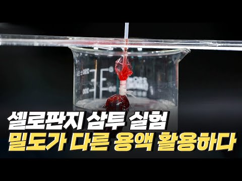 [핫클립] 밀도가 다른 용액을 활용한 셀로판지 삼투 실험