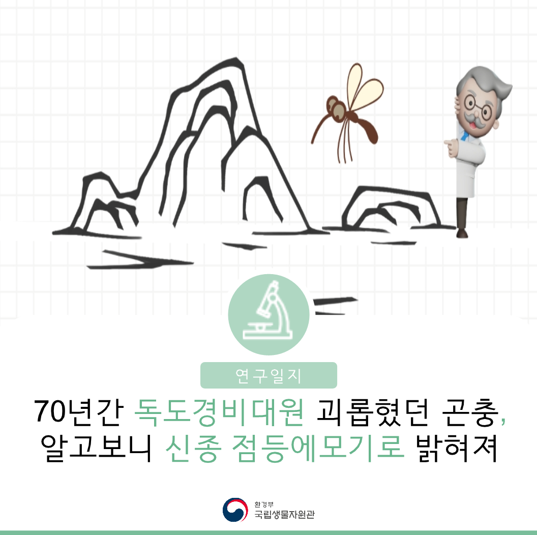 [연구일지] 70년간 독도경비대원 괴롭혔던 곤충, 알고보니 신종 점등에모기로 밝혀져