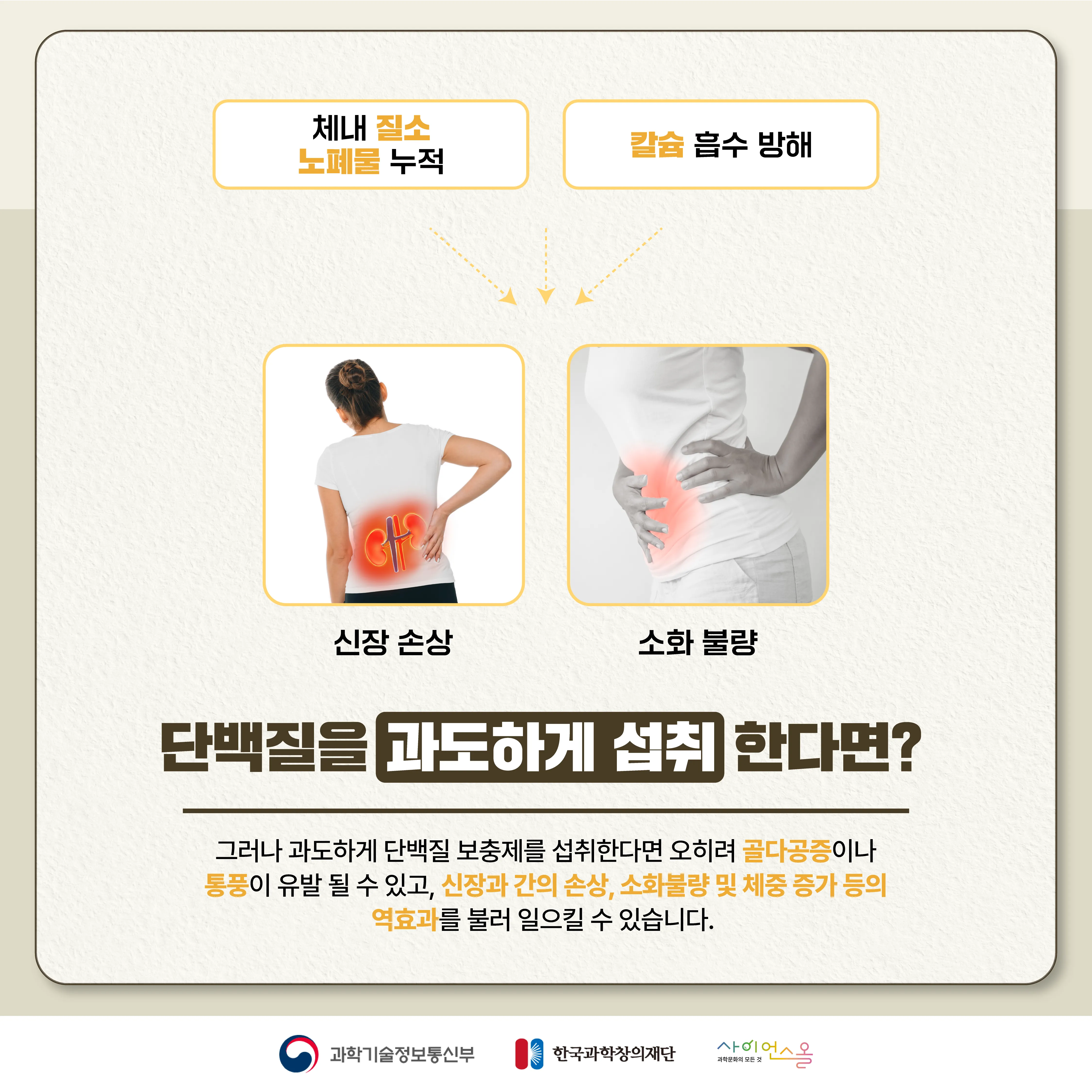 [달콤쌉싸름 과학] 단백질을 많이 먹으면 근육이 더 생길까? 단백질의 두 얼굴