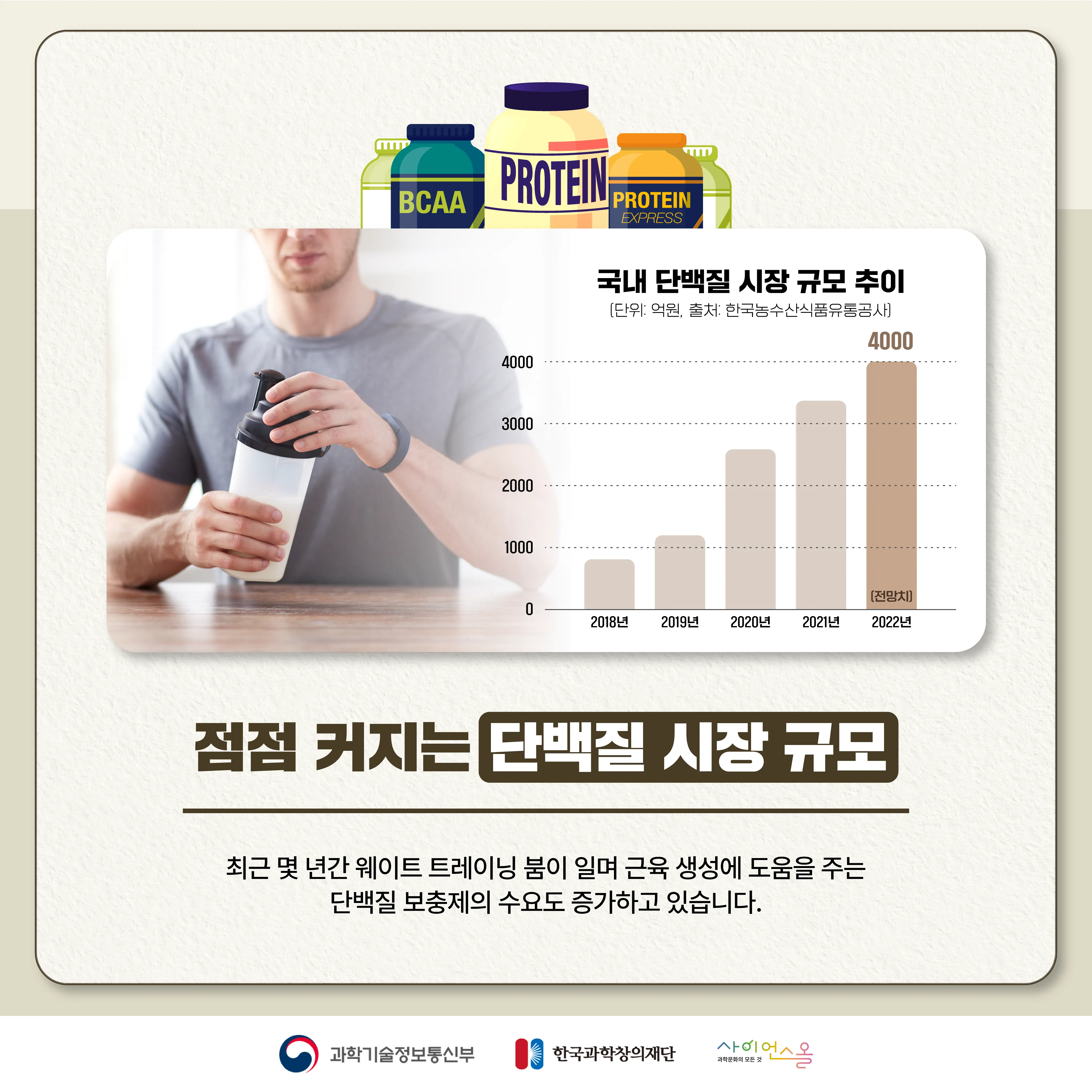 [달콤쌉싸름 과학] 단백질을 많이 먹으면 근육이 더 생길까? 단백질의 두 얼굴