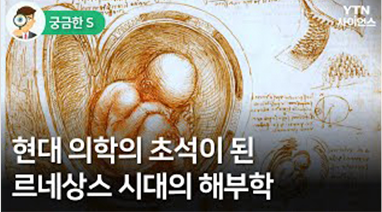 현대 의학의 초석이 된 르네상스 시대의 해부학