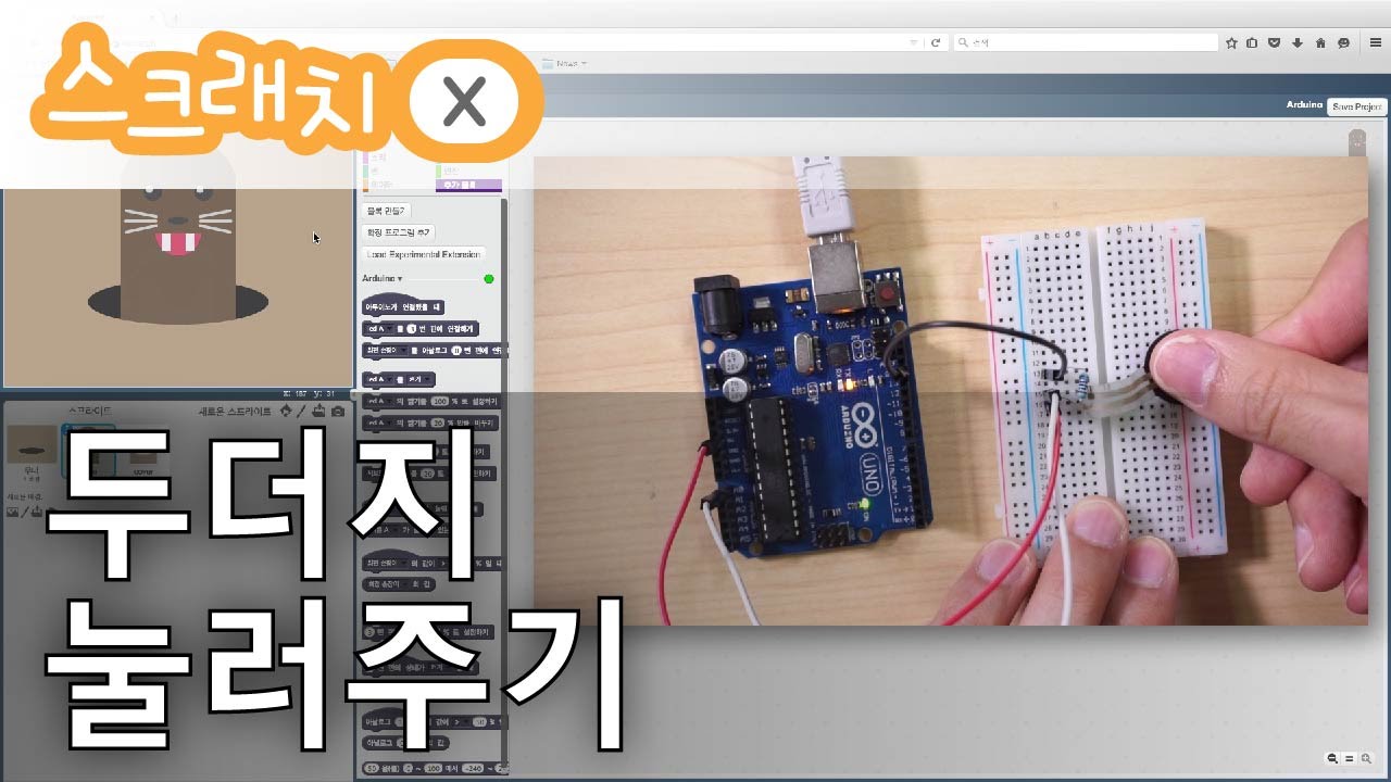 [스크래치X] 두더지 눌러주기