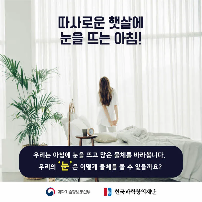 [분야] 물리<br>[주제] 거울반사<br>[콘텐츠명] 우리가 눈으로 물체를 보는 원리(도입)<br>[유형] 카드뉴스<br>[난이도] 초등 이상