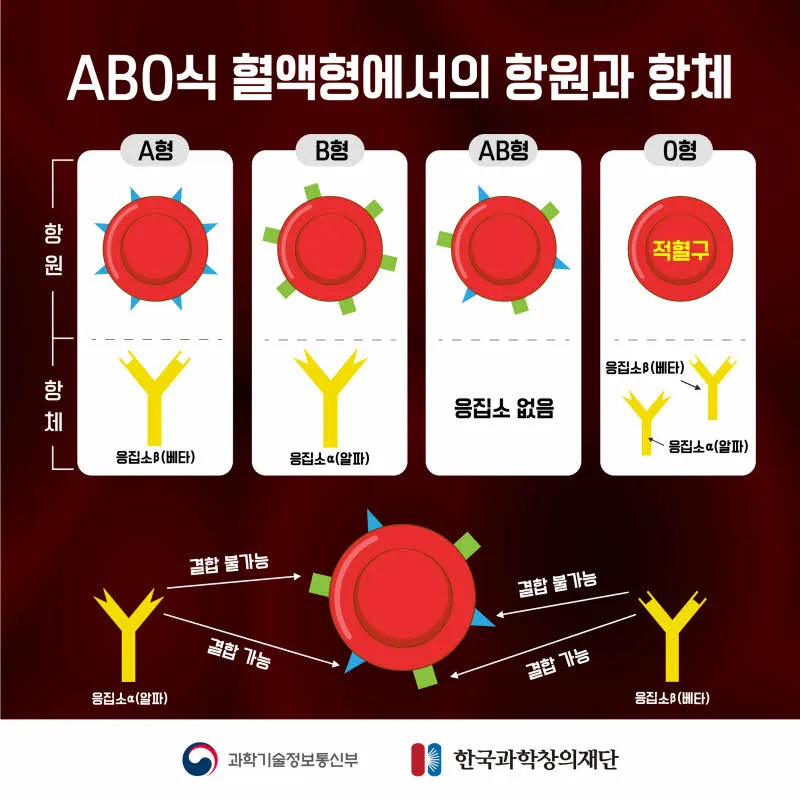 [분야] 생물<br>[주제] 혈액의 구성과 판정<br>[콘텐츠명] 백신의 원리(정리)<br>[유형]카드뉴스<br>[난이도] 중등 이상