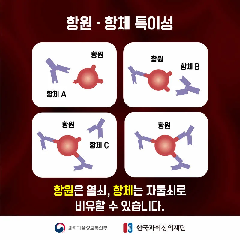 [분야] 생물<br>[주제] 혈액의 구성과 판정<br>[콘텐츠명] 백신의 원리(정리)<br>[유형]카드뉴스<br>[난이도] 중등 이상