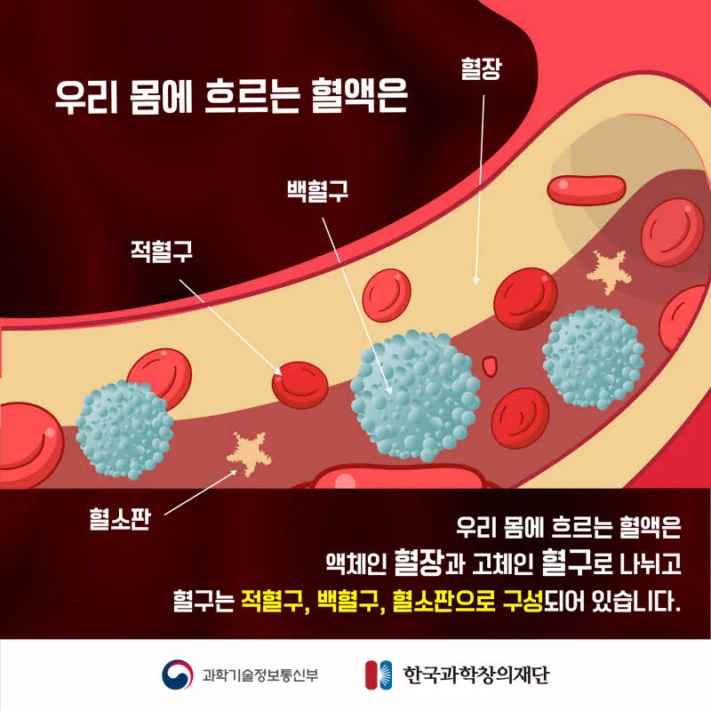 [분야] 생물<br>[주제] 혈액의 구성과 판정<br>[콘텐츠명] 백신의 원리(정리)<br>[유형]카드뉴스<br>[난이도] 중등 이상