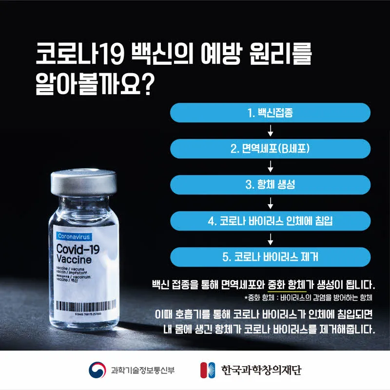[분야] 생물<br>[주제] 혈액의 구성과 판정<br>[콘텐츠명] 백신의 원리(정리)<br>[유형]카드뉴스<br>[난이도] 중등 이상