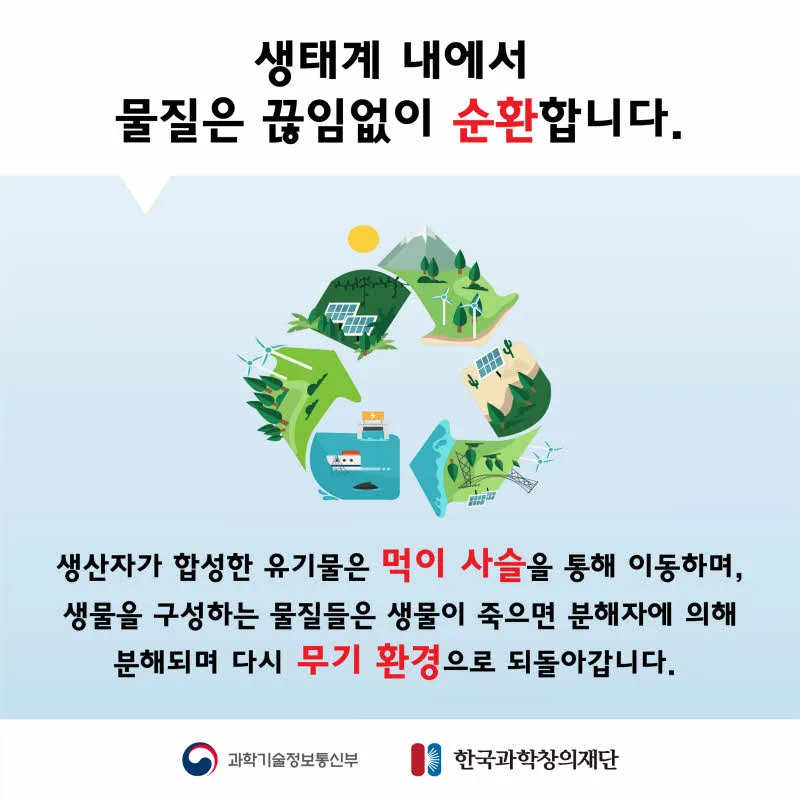 [분야] 생물<br>[주제] 물질의 순환과 에너지 흐름 <br>[콘텐츠명] 물질의 순환과 에너지 흐름(전개)<br>[유형] 카드뉴스<br>[난이도] 초등 이상