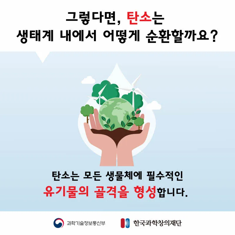 [분야] 생물<br>[주제] 물질의 순환과 에너지 흐름 <br>[콘텐츠명] 물질의 순환과 에너지 흐름(전개)<br>[유형] 카드뉴스<br>[난이도] 초등 이상
