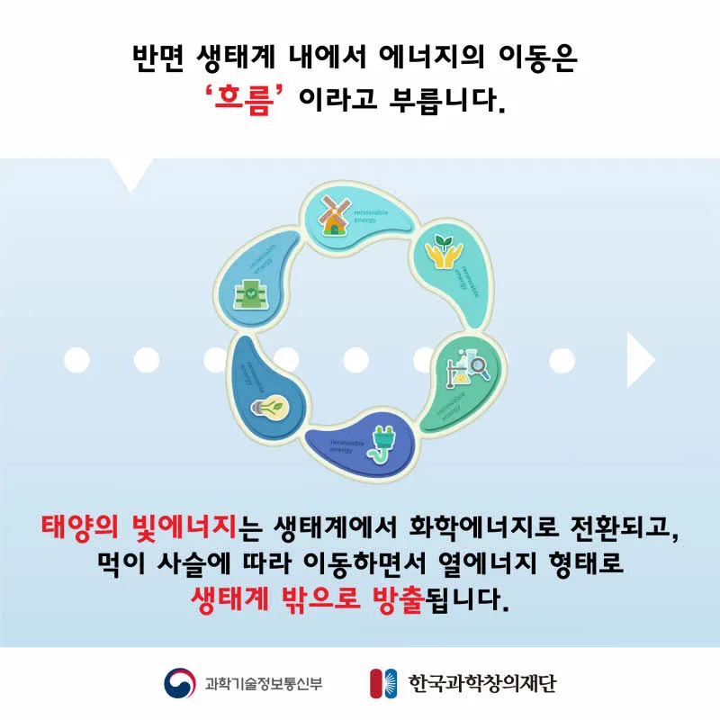 [분야] 생물<br>[주제] 물질의 순환과 에너지 흐름 <br>[콘텐츠명] 물질의 순환과 에너지 흐름(전개)<br>[유형] 카드뉴스<br>[난이도] 초등 이상