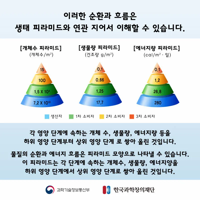 [분야] 생물<br>[주제] 물질의 순환과 에너지 흐름 <br>[콘텐츠명] 물질의 순환과 에너지 흐름(전개)<br>[유형] 카드뉴스<br>[난이도] 초등 이상