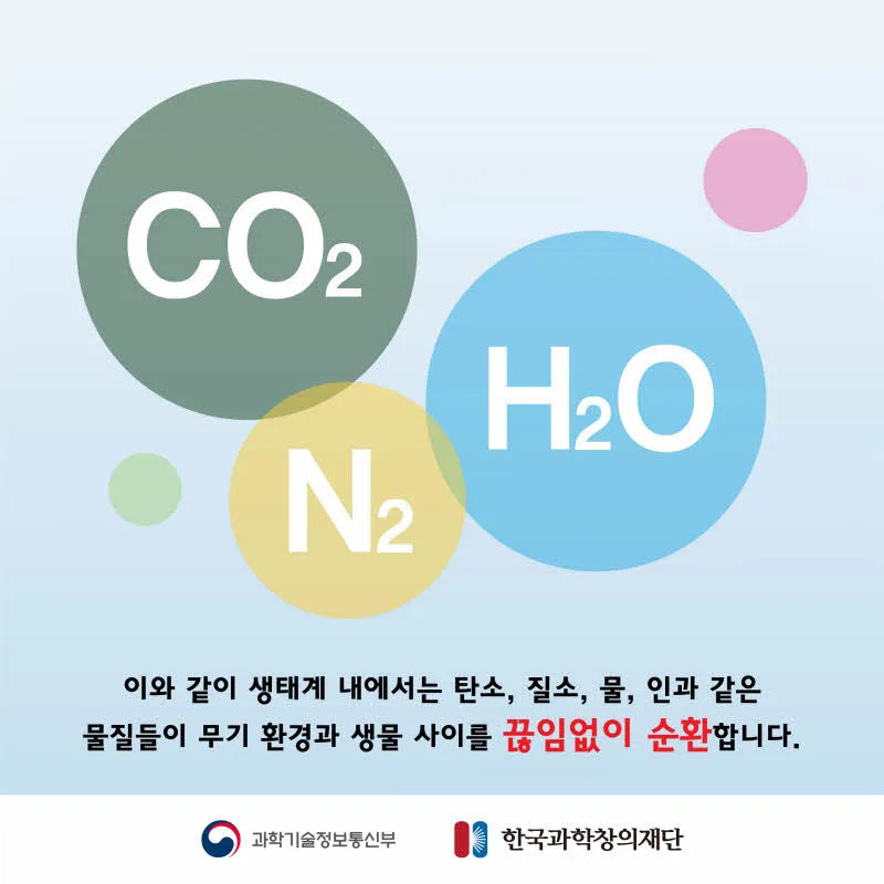 [분야] 생물<br>[주제] 물질의 순환과 에너지 흐름 <br>[콘텐츠명] 물질의 순환과 에너지 흐름(전개)<br>[유형] 카드뉴스<br>[난이도] 초등 이상