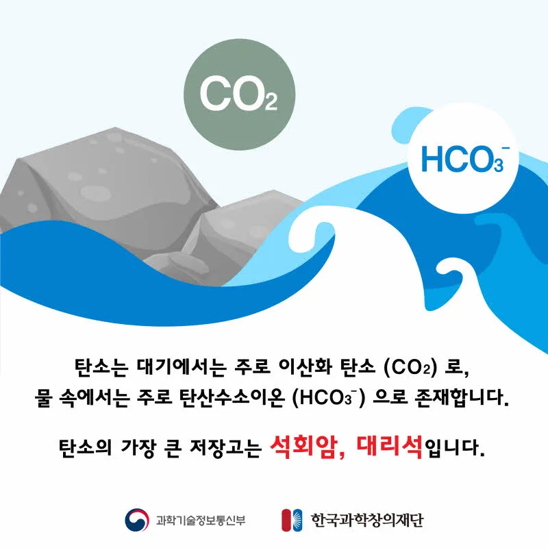 [분야] 생물<br>[주제] 물질의 순환과 에너지 흐름 <br>[콘텐츠명] 물질의 순환과 에너지 흐름(전개)<br>[유형] 카드뉴스<br>[난이도] 초등 이상
