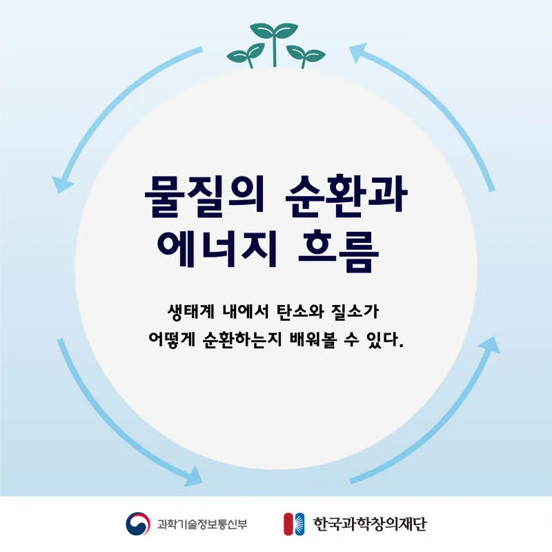 [분야] 생물<br>[주제] 물질의 순환과 에너지 흐름 <br>[콘텐츠명] 물질의 순환과 에너지 흐름(전개)<br>[유형] 카드뉴스<br>[난이도] 초등 이상