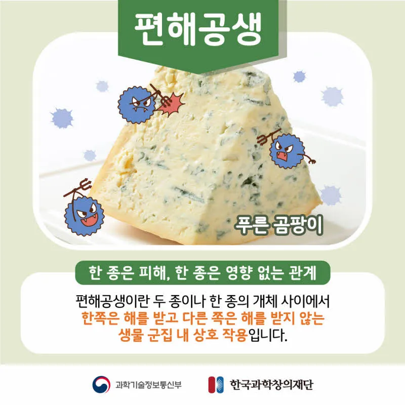 [분야] 생물<br>[주제] 생태계를 구성하는 요소들 간의 상호 작용에 대해 안다<br>[콘텐츠명]공생과 기생(도입)<br>[유형] 카드뉴스<br>[난이도] 중등 이상