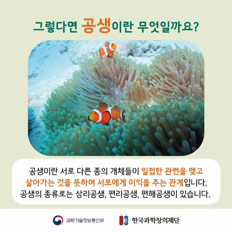 [분야] 생물<br>[주제] 생태계를 구성하는 요소들 간의 상호 작용에 대해 안다<br>[콘텐츠명]공생과 기생(도입)<br>[유형] 카드뉴스<br>[난이도] 중등 이상