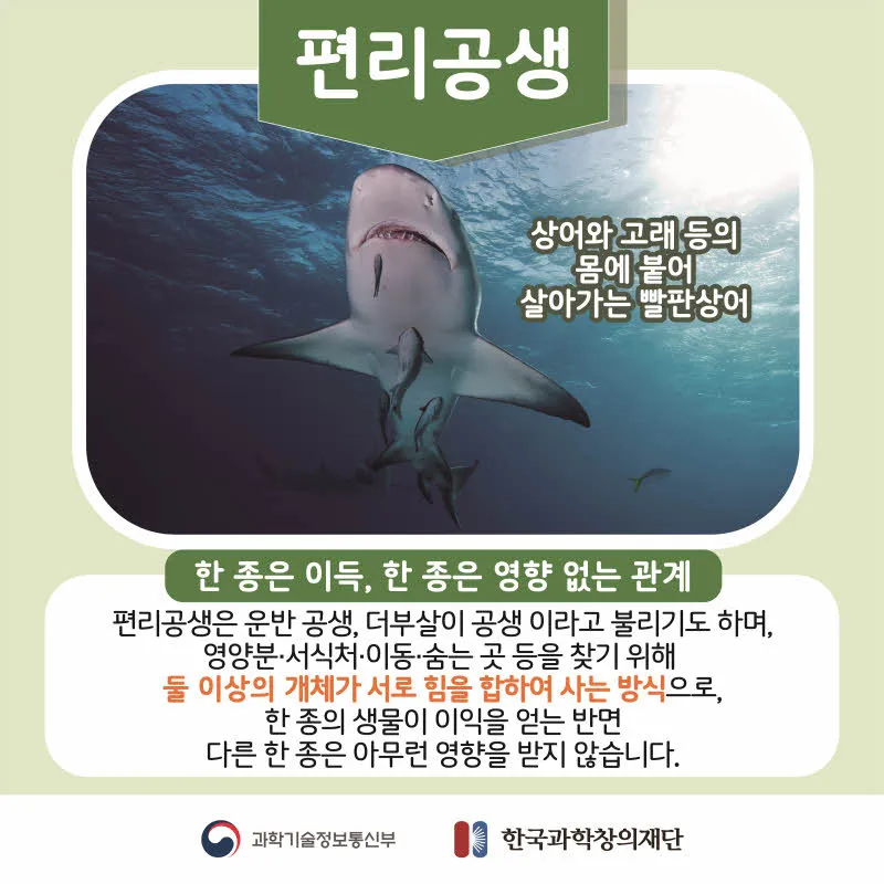 [분야] 생물<br>[주제] 생태계를 구성하는 요소들 간의 상호 작용에 대해 안다<br>[콘텐츠명]공생과 기생(도입)<br>[유형] 카드뉴스<br>[난이도] 중등 이상