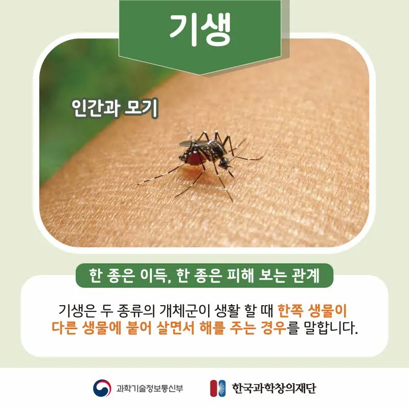 [분야] 생물<br>[주제] 생태계를 구성하는 요소들 간의 상호 작용에 대해 안다<br>[콘텐츠명]공생과 기생(도입)<br>[유형] 카드뉴스<br>[난이도] 중등 이상