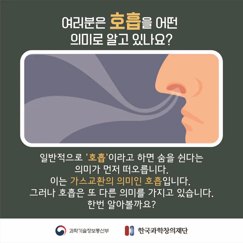 [분야] 생물<br>[주제] 동물이 세포 호흡을 통해 에너지를 얻는 과정<br>[콘텐츠명]세포 호흡에 필요한 물질과 생성되는 물질(도입)<br>[유형] 카드뉴스<br>[난이도] 중등 이상