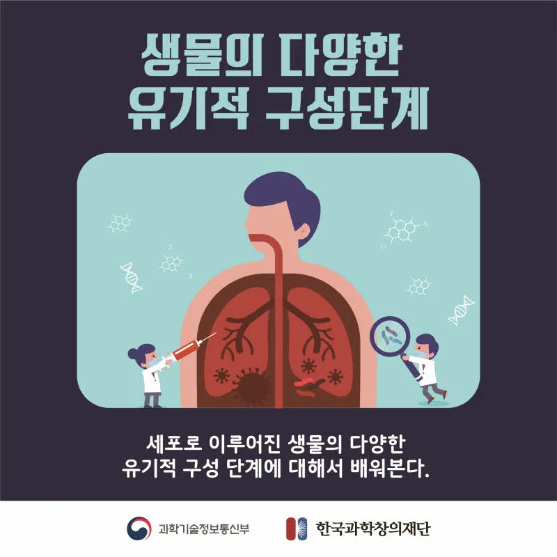 [분야] 생물<br>[주제] 생물의 유기적 구성 단계<br>[콘텐츠명] 생물의 다양한 유기적 구성단계(도입) <br>[유형] 카드뉴스<br>[난이도] 중등 이상