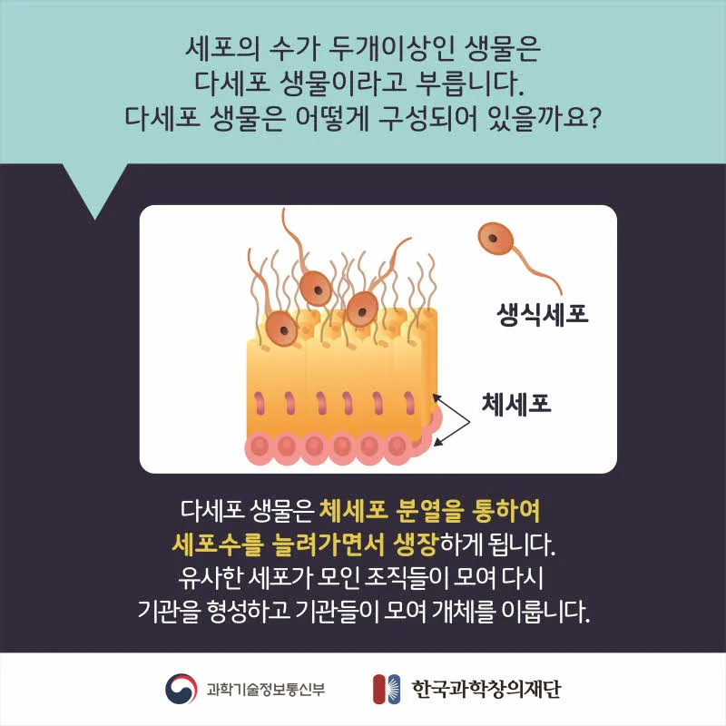 [분야] 생물<br>[주제] 생물의 유기적 구성 단계<br>[콘텐츠명] 생물의 다양한 유기적 구성단계(도입) <br>[유형] 카드뉴스<br>[난이도] 중등 이상