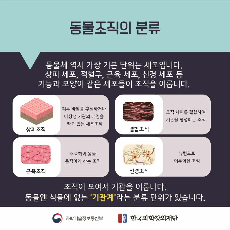[분야] 생물<br>[주제] 생물의 유기적 구성 단계<br>[콘텐츠명] 생물의 다양한 유기적 구성단계(도입) <br>[유형] 카드뉴스<br>[난이도] 중등 이상